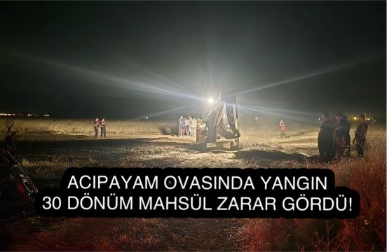 Acıpayam’da Buğday Tarlasında Yangın: 30 Dekar Alan Kül Oldu