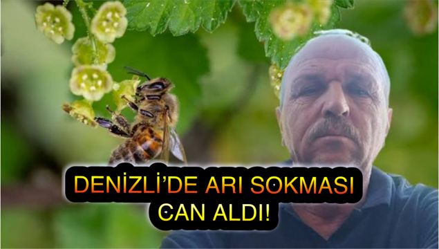 Denizli’de Arı Sokması Can Aldı: 55 Yaşındaki Adam Hayatını Kaybetti
