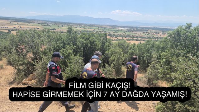 29 Yıl Hapis Cezası Bulunan Şahıs Ormanda Çadır Kurup Kenevir Ekti!