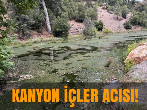 KANYON İÇLER ACISI