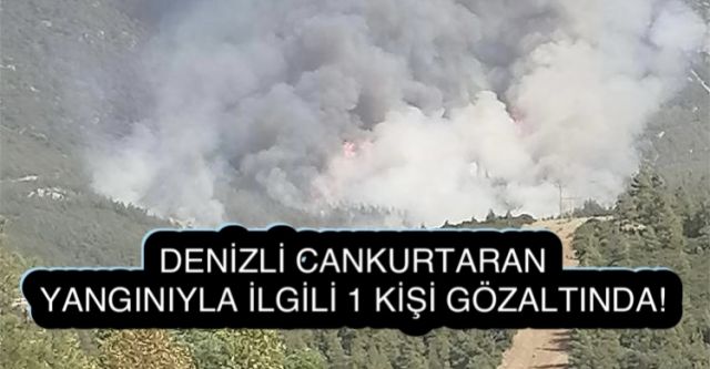 Denizli’deki orman yangınıyla ilgili 1 kişi gözaltına alındı